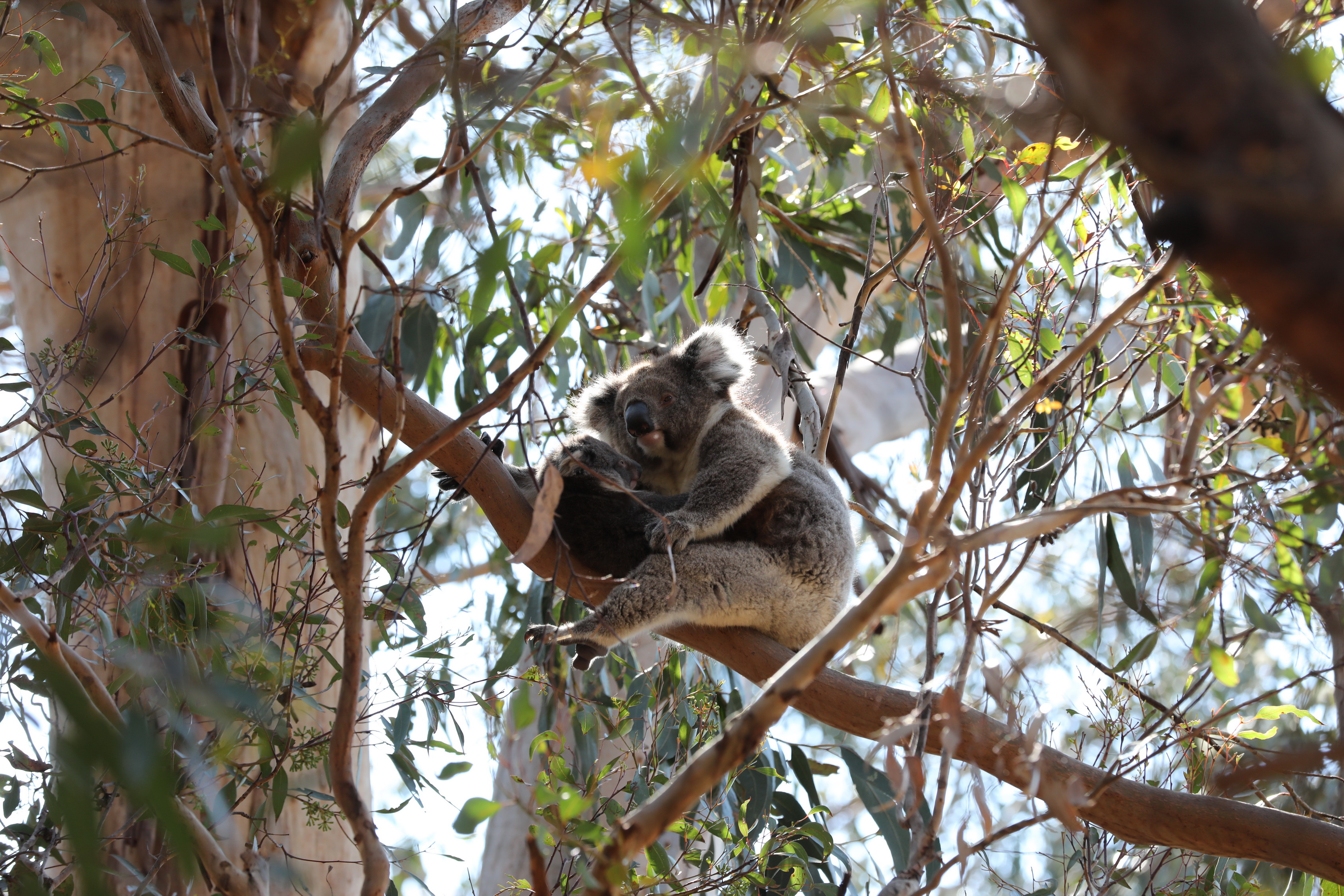 2019 10 01 10 20 17 Canon EOS 5D Mark IV 0004